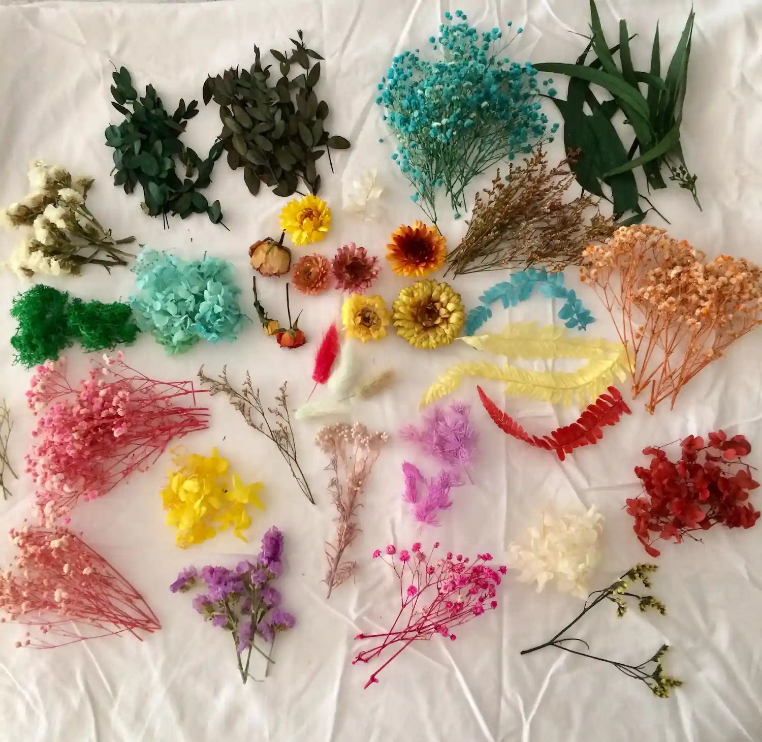 Panache de fleurs séchées colorées étalées sur un tissu fin