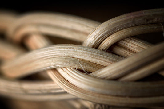 L’osier : un matériau naturel et authentique en artisanat